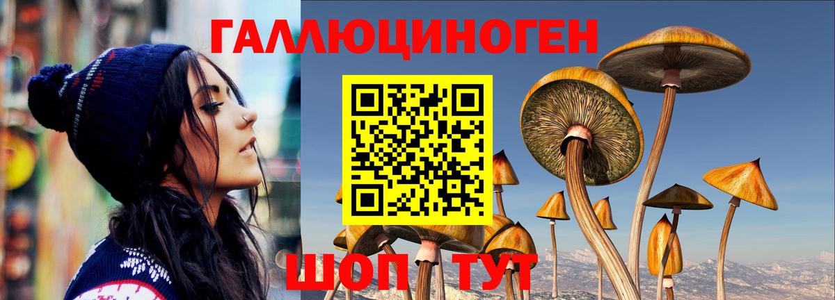 Вятские Поляны  Псилоцибиновые грибы Magic Shrooms  Вход с VPN 