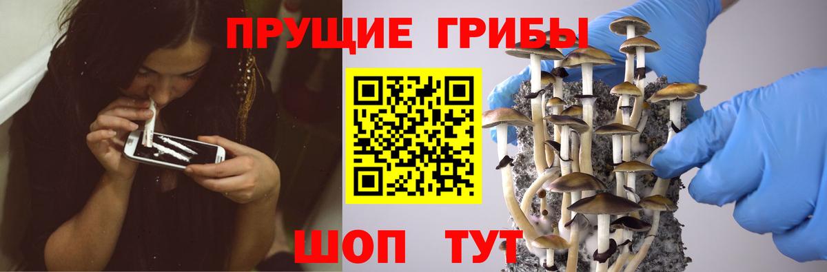Псилоцибиновые грибы Magic Shrooms Вятские Поляны